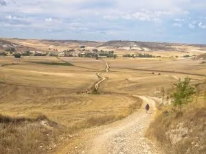 Camino Frances är den mest populära Camino